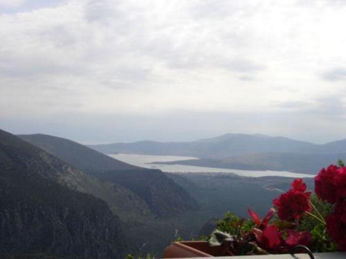 Sun View Guesthouse Delfos Exterior foto